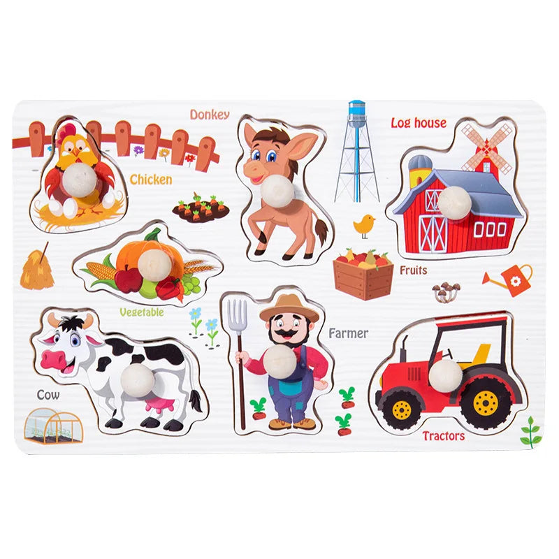 Wooden Learning Puzzles