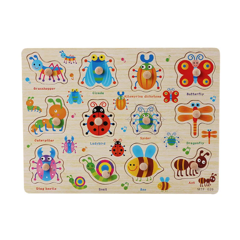 Wooden Learning Puzzles