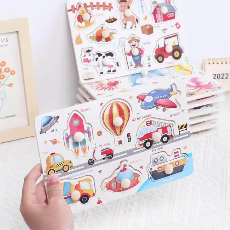 Wooden Learning Puzzles