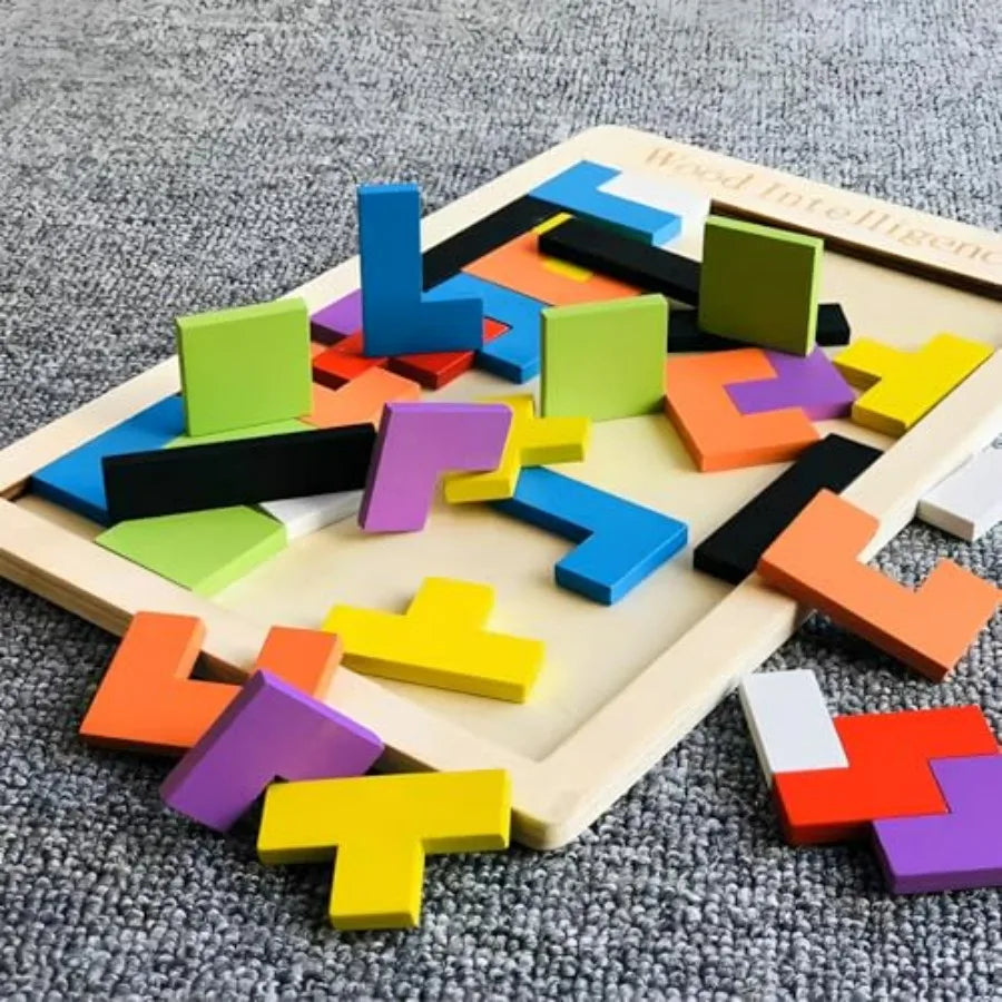 Wooden Brain Teaser Set