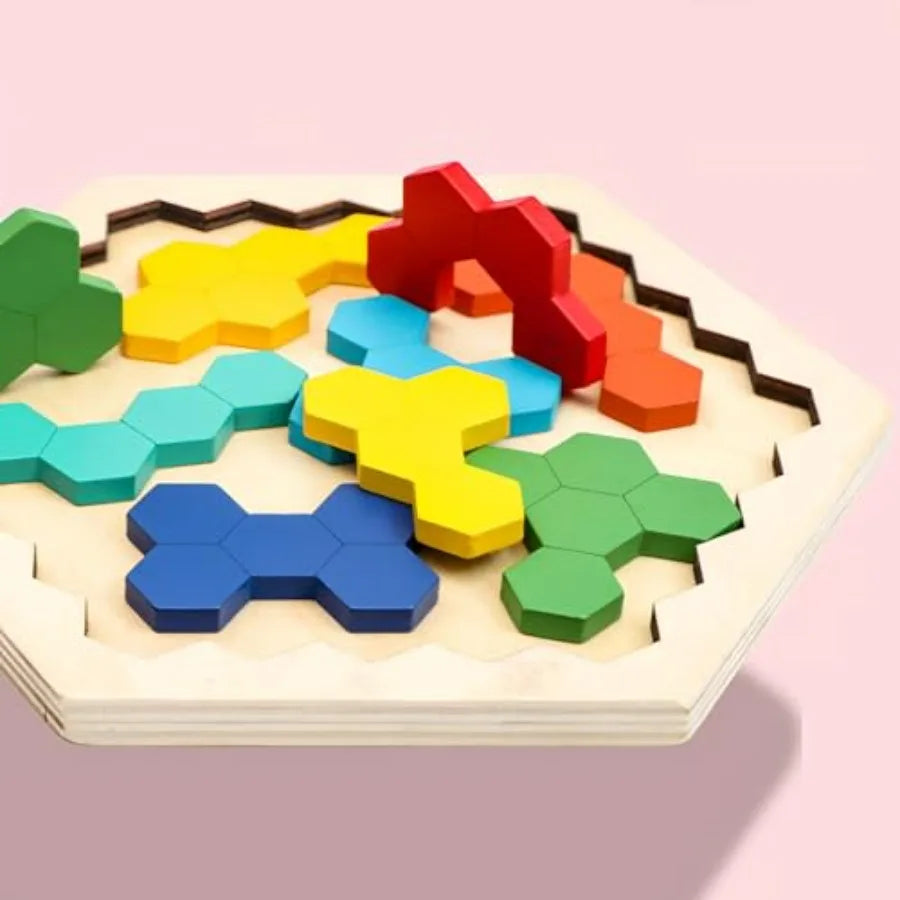 Wooden Brain Teaser Set